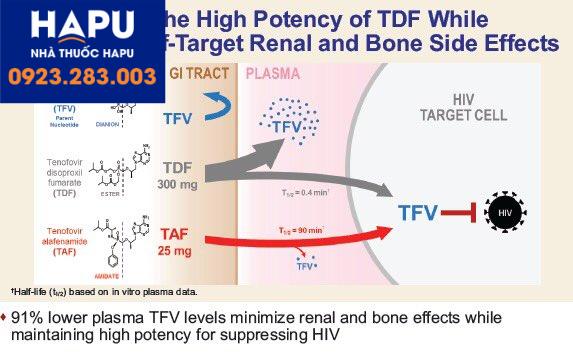 Cơ chế hoạt động của TAF và TDF