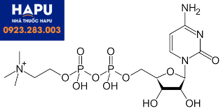 Cấu trúc của Citicoline