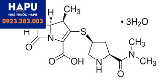 Cấu trúc của Meropenem