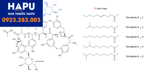Cấu trúc Teicoplanin