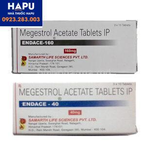 Thuốc Megestrol Acetate giá bao nhiêu