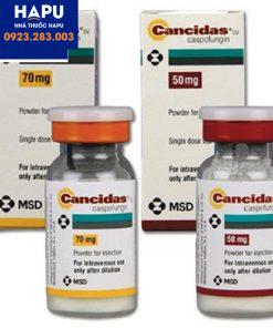 Thuốc Cancidas giá bao nhiêu