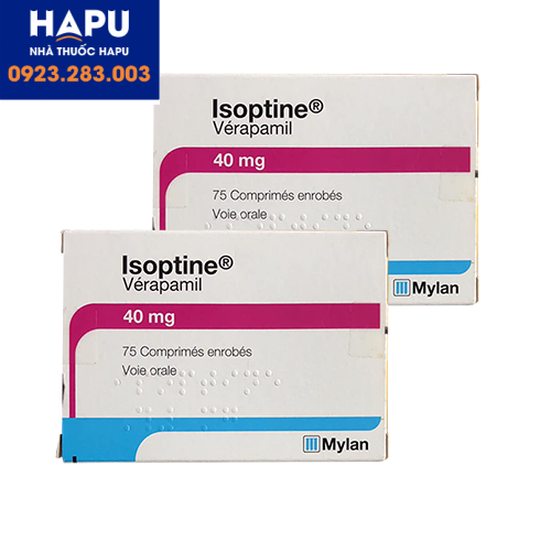 Thuốc Thuốc Isoptine 40mg mua ở đâu uy tín