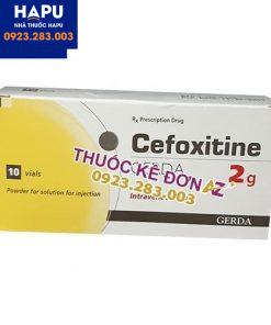 Thuốc Cefoxitin gerda 2g giá bao nhiêu