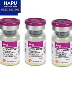 Thuốc Hycamtin 4mg giá bao nhiêu