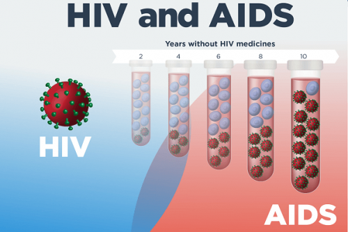 HIV và quá trình đến AIDS là gì