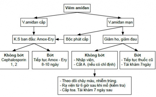 Phác-đồ-điều-trị-viêm-amidan-bằng-kháng-sinh