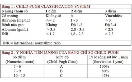 Phân-độ-xơ-gan-theo-Chil-Pugh