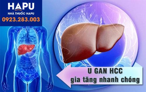 Ung-thư-gan-HCC-gan-là-bệnh-gì