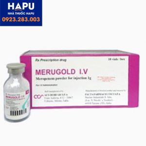 Thuốc Merugold I.V chính hãng
