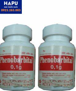 Thuốc Phenobarbital 0.1g của công ty Vidipha là thuốc gì?   