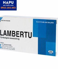 Thuốc-Lambertu-60-mg-là-thuốc-gì