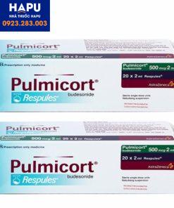 Hướng-dẫn-sử-dụng-thuốc-Pulmicort