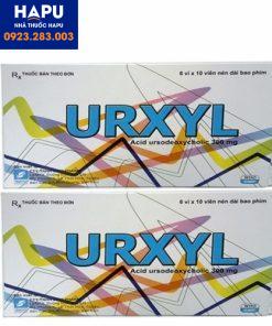 Hướng-dẫn-sử-dụng-thuốc-Urxyl-300-mg