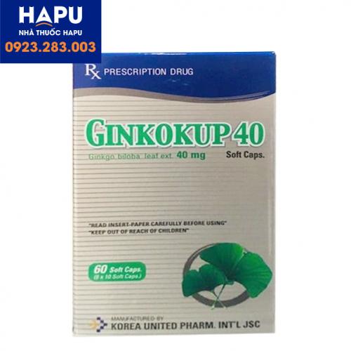 Thuốc-Ginkouo-40-là-thuốc-gì
