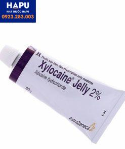 Thuốc-Xylocaine-Jelly-2%-là-thuốc-gì