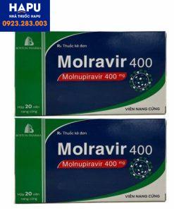 Thuốc-Molravir-400-chính-hãng-của-boston-giá-bao-nhiêu
