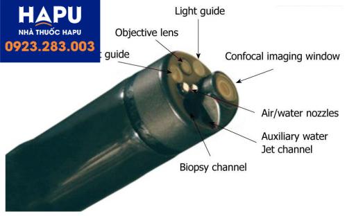 Cấu trúc của dây nội soi phóng đại bằng Laser đồng tiêu