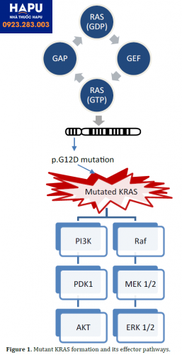 Sự hình thành KRAS đột biến và các con đường tác động của nó