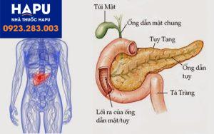 Ứng dụng hóa mô miễn dịch trong chẩn đoán ung thư tuyến tuỵ