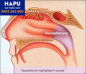 Tổng quan về các loại ung thư vòm hầu mà bạn nên biết