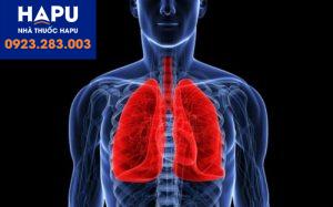 Tràn dịch dưỡng trấp màng phổi u lympho không Hodgkin tế bào B lớn