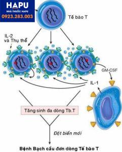 Các loại virut gây bệnh ung thư, hãy cùng tìm hiểu