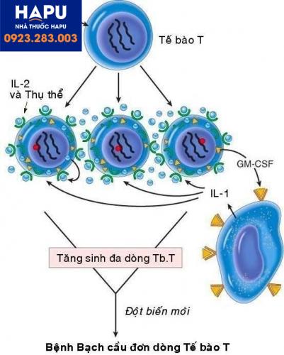 Các loại virut gây bệnh ung thư, hãy cùng tìm hiểu