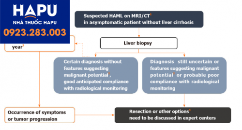 Sơ đồ xử trí nghi ngờ u mạch máu gan trên hình ảnh