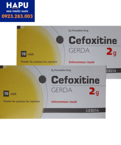 Thuốc Cefoxitine Gerda 2g giá bao nhiêu