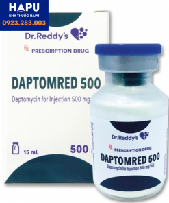 Thuốc Daptomred 500 là thuốc gì