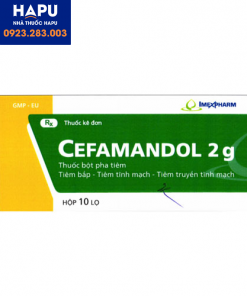 Thuốc Cefamandol 2g là thuốc gì