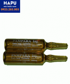 Thuốc-Pampara