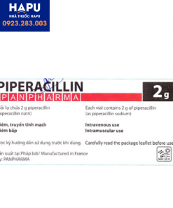 Thuốc Piperacillin Panpharma 2g là thuốc gì