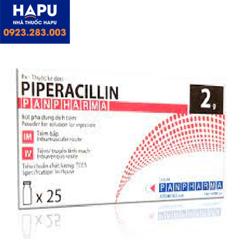Thuốc Piperacillin Panpharma 4g là thuốc gì