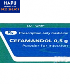 Thuốc Cefamandol 0,5g là thuốc gì