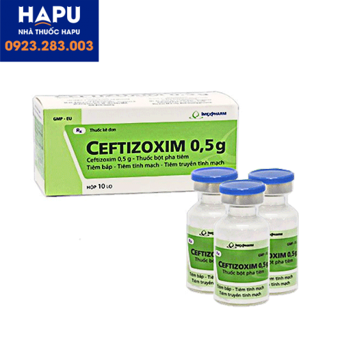 Thuốc Ceftizoxim 0,5g là thuốc gì