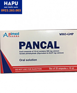 Thuốc Pancal 500mg là thuốc gì