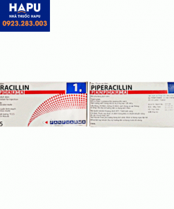 Thuốc Piperacillin Panpharma 1g giá bao nhiêu