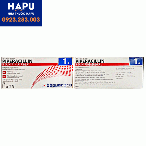 Thuốc Piperacillin Panpharma 1g giá bao nhiêu