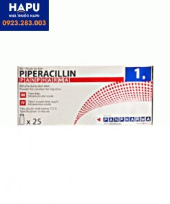 Thuốc Piperacillin Panpharma 1g là thuốc gì